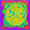 Chick Corea John McLaughlin Five Peace Band CD cover